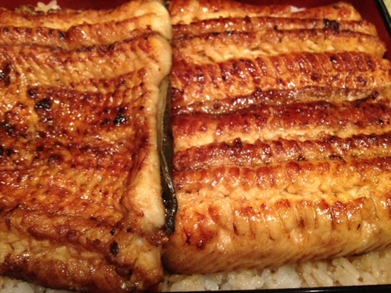 nodaiwa yokohama tennen unagi.JPG